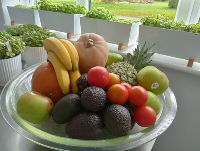 Pickling and Fermentation class by Lynn's Living Kitchen